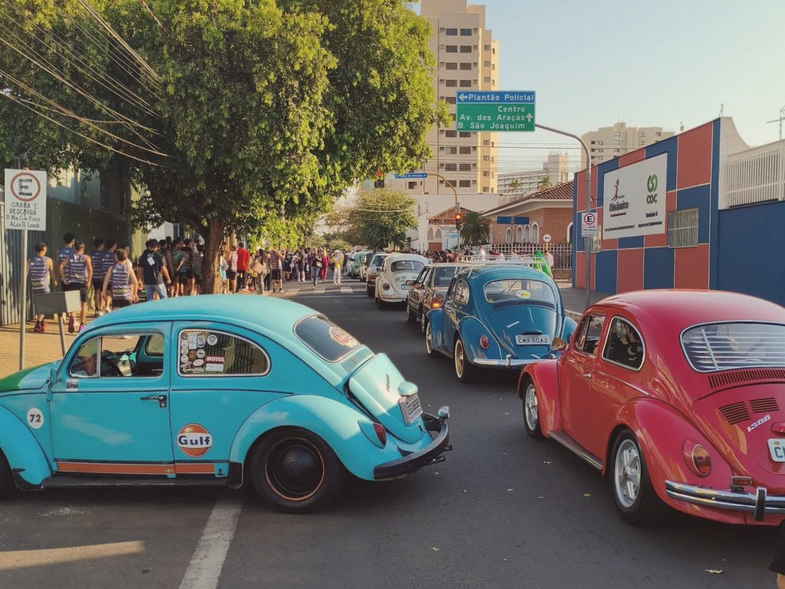 Fila de automóveis antigos estacionados na grama durante um encontro